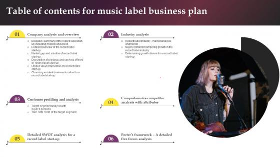 Table Of Contents For Music Label Business Plan BP SS