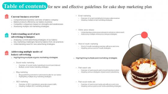 Table Of Contents For New And Effective Guidelines For Cake Shop Marketing Plan MKT SS V