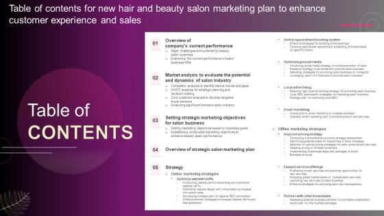 Table Of Contents For New Hair And Beauty Salon Marketing Plan To Enhance Strategy SS