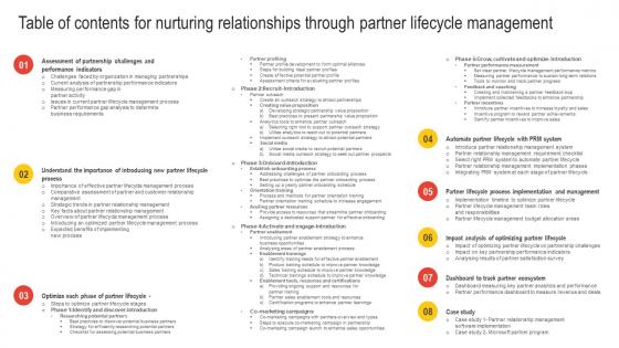 Table Of Contents For Nurturing Relationships Through Partner Lifecycle Management