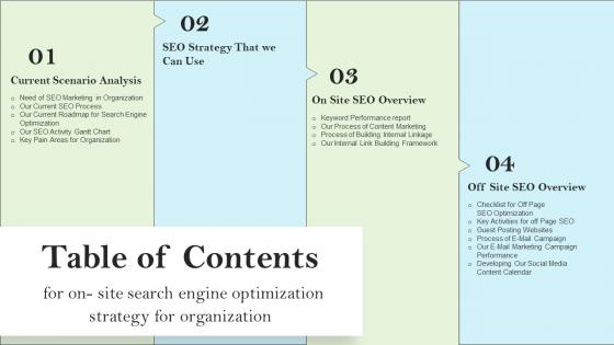 Table Of Contents For On Site Search Engine Optimization Strategy For Organization