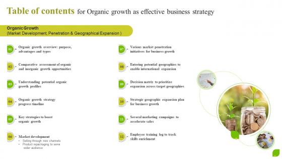 Table Of Contents For Organic Growth As Effective Business Strategy SS