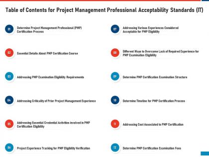 Table of contents for project management professional acceptability standards it