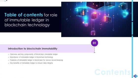 Table Of Contents For Role Of Immutable Ledger In Blockchain Technology BCT SS