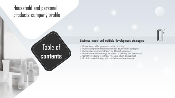 Table Of Contents Household And Personal Products Company Profile