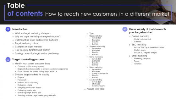 Table Of Contents How To Reach New Customers In A Different Market