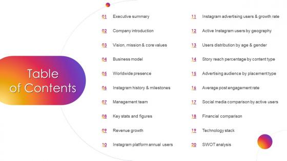 Table Of Contents Instagram Company Profile Ppt Slides Graphics Template