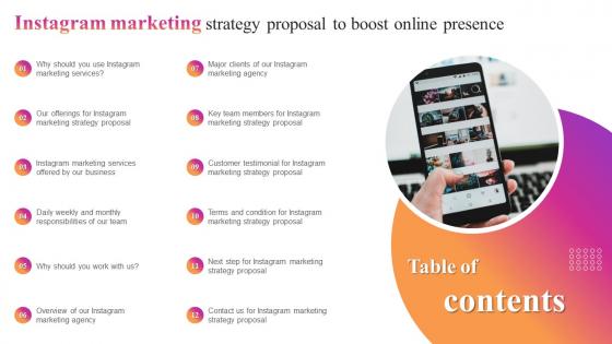 Table Of Contents Instagram Marketing Strategy Proposal To Boost Online Presence