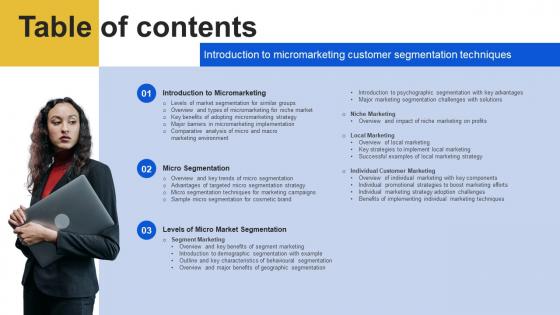 Table Of Contents Introduction To Micromarketing Customer Segmentation Technique MKT SS V