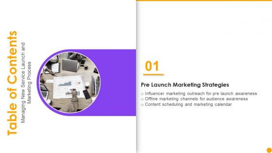 Table Of Contents Managing New Service Launch Marketing Process