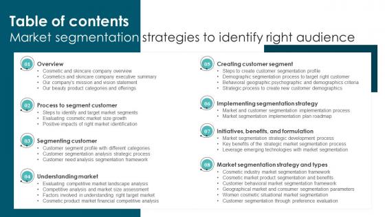 Table Of Contents Market Segmentation Strategies To Identify Right Audience MKT SS V