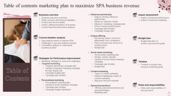 Table Of Contents Marketing Plan To Maximize SPA Business Revenue Strategy SS V