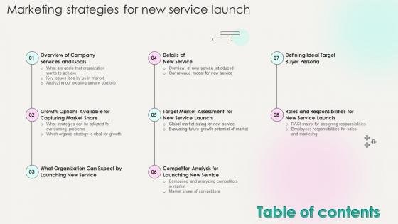 Table Of Contents Marketing Strategies For New Service Launch