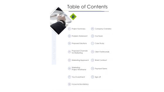 Table Of Contents Marketing Strategy Proposal One Pager Sample Example Document