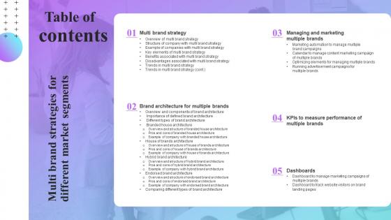 Table Of Contents Multi Brand Strategies For Different Market Segments