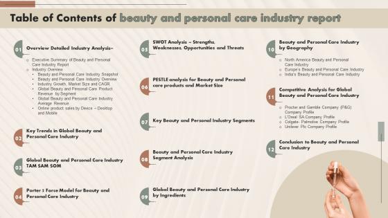 Table Of Contents Of Beauty And Personal Care Industry Report IR SS