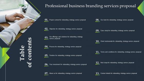 Table Of Contents Professional Business Branding Services Proposal Ppt Show Example Introduction