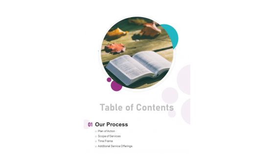 Table Of Contents Proposal For Publishing Nonfiction Book One Pager Sample Example Document