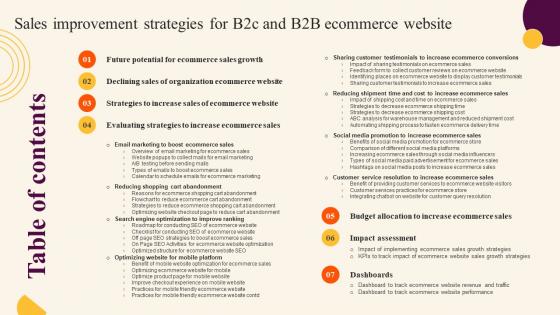 Table Of Contents Sales Improvement Strategies For B2c And B2b Ecommerce Website