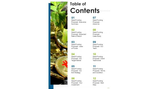 Table Of Contents Seed Funding Proposal One Pager Sample Example Document
