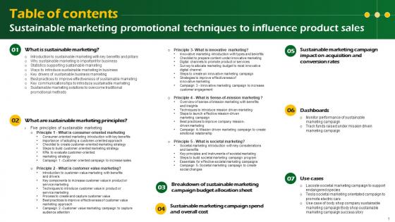 Table Of Contents Sustainable Marketing Promotional Techniques To Influence Product Sales MKT SS V