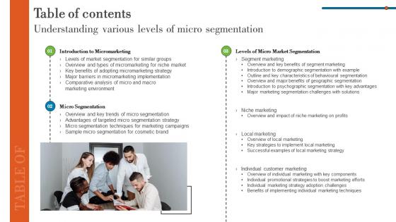Table Of Contents Understanding Various Levels Of Micro Segmentation MKT SS V
