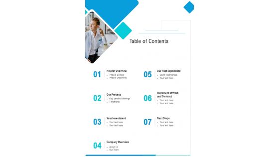Table Of Contents Website Content Writing Proposal One Pager Sample Example Document