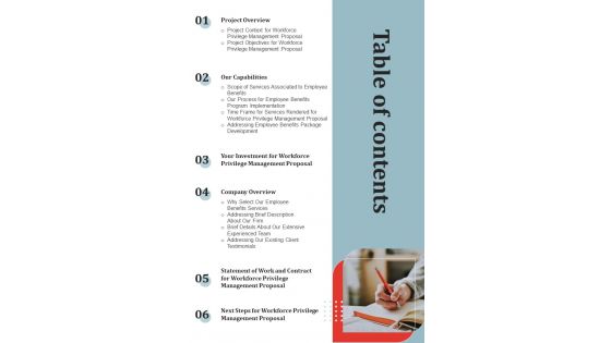 Table Of Contents Workforce Privilege Management Proposal One Pager Sample Example Document