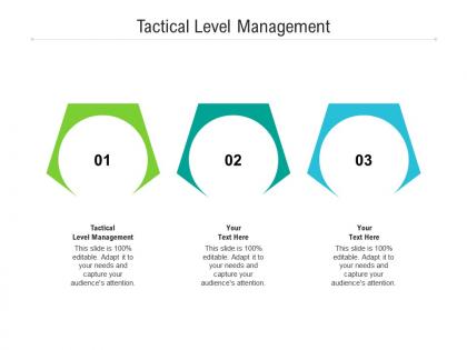 Tactical level management ppt powerpoint presentation slides rules cpb