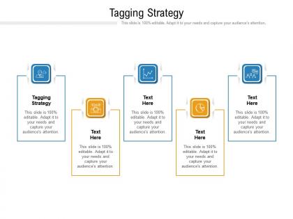 Tagging strategy ppt powerpoint presentation icon graphics cpb