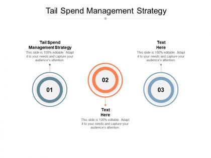 Tail spend management strategy ppt powerpoint presentation layouts background cpb