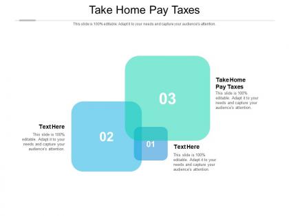 Take home pay taxes ppt powerpoint presentation infographic template visuals cpb