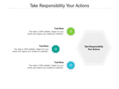 Take responsibility your actions ppt powerpoint presentation layouts tips cpb