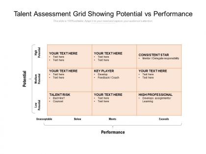 Talent assessment grid showing potential vs performance