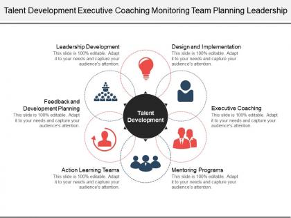 Talent development executive coaching monitoring team planning leadership
