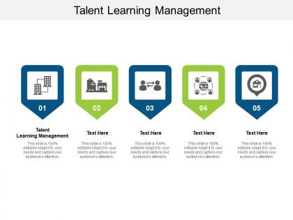 Talent learning management ppt powerpoint presentation summary cpb