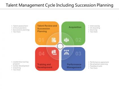 Talent management cycle including succession planning
