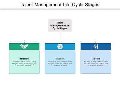 Talent management life cycle stages ppt powerpoint presentation layouts backgrounds cpb