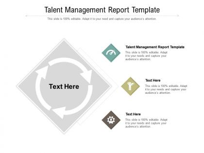 Talent management report template ppt powerpoint presentation layouts templates cpb