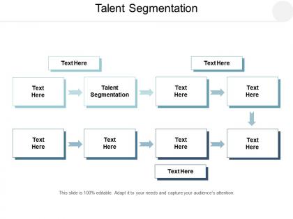 Talent segmentation ppt powerpoint presentation layouts clipart images cpb