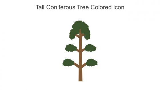 Tall Coniferous Tree Colored Icon In Powerpoint Pptx Png And Editable Eps Format