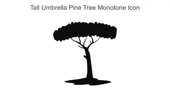 Tall Umbrella Pine Tree Monotone Icon In Powerpoint Pptx Png And Editable Eps Format