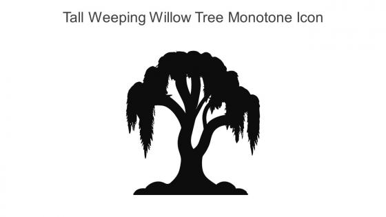 Tall Weeping Willow Tree Monotone Icon In Powerpoint Pptx Png And Editable Eps Format