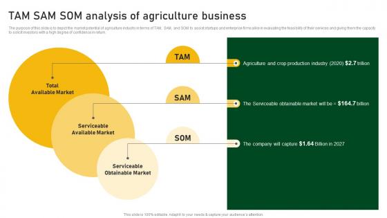 Tam Sam Som Analysis Of Agriculture Business Farm And Agriculture Business Plan BP SS