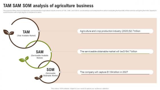 Tam Sam Som Analysis Of Agriculture Business Wheat Farming Business Plan BP SS