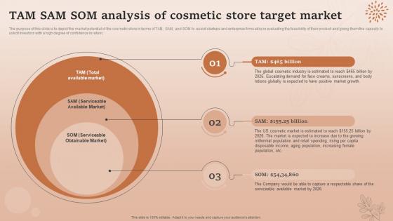 Tam Sam Som Analysis Of Cosmetic Store Target Market Natural Cosmetic Business Plan BP SS