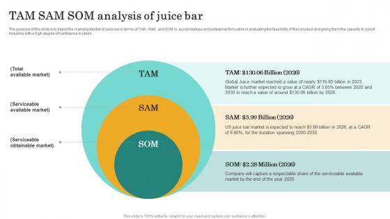 Tam Sam Som Analysis Of Juice Bar Nutritional Beverages Business Plan BP SS