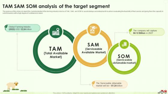 Tam Sam Som Analysis Of The Target Segment Farming Business Plan BP SS