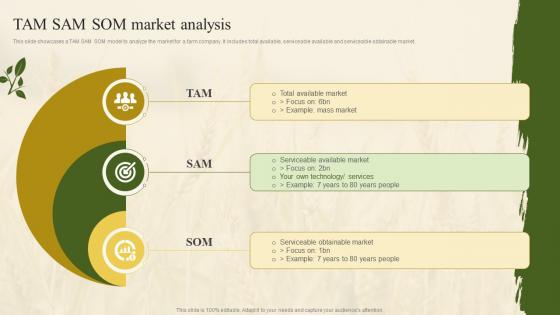 Tam Sam Som Market Analysis Farm Marketing Plan To Increase Profit Strategy SS
