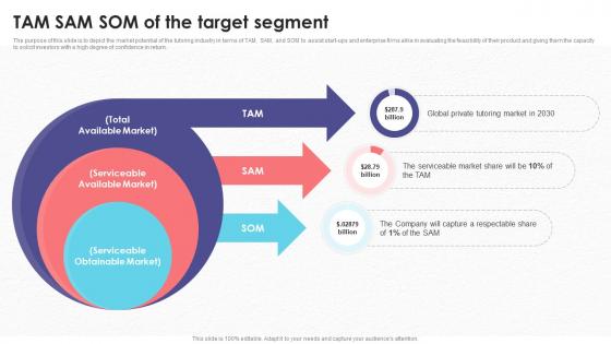 TAM SAM SOM Of The Target Segment Tutoring Business Plan BP SS